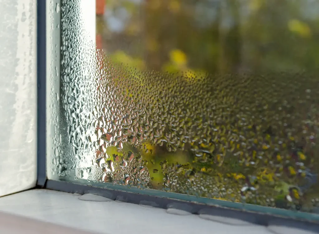 window with condensation portraying an issue with humidity collinsville illinois