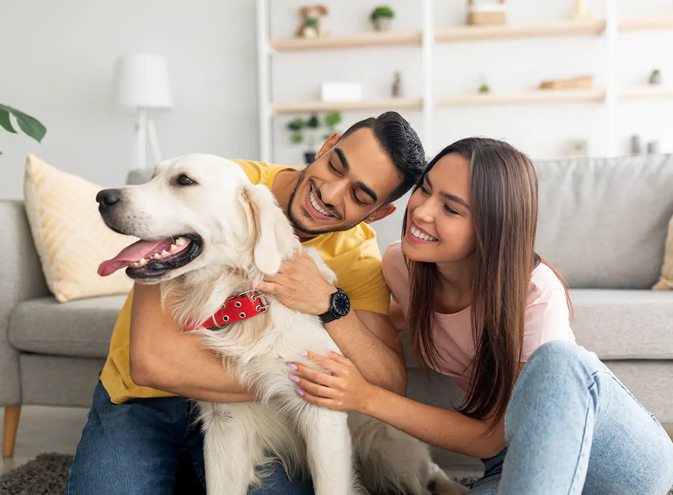 a couple loving on their dog in their comfortable home