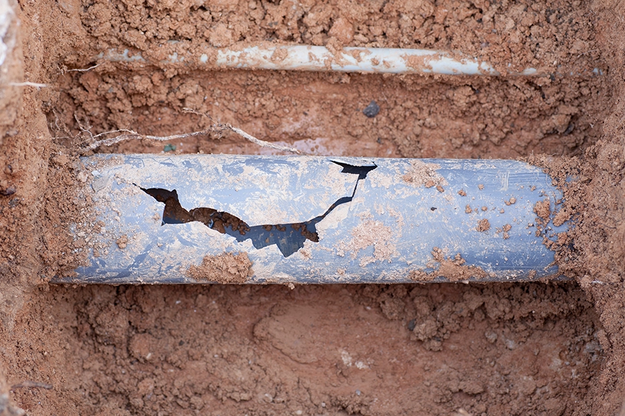 Cracked sewer line on the property of an O'Fallon, IL resident.