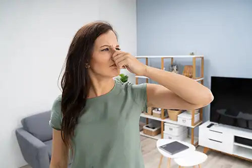 Polar—A woman holds her nose to ward off an unpleasant sewer smell in her home in Belleville, IL