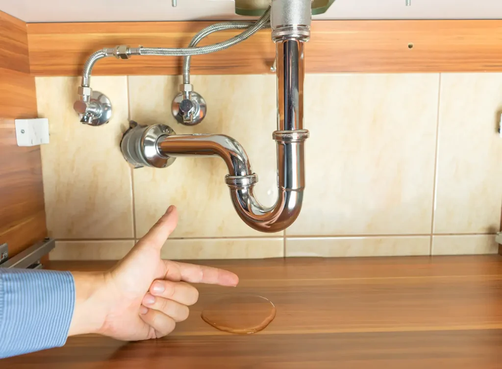 leak found under sink in bathroom collinsville il