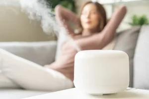 Polar—A female homeowner relaxing with her modern air humidifier in her home in Belleville, IL, showcasing great indoor air quality.