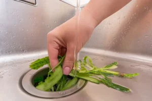 Polar—Food waste management: cucumber peels being processed in a garbage disposal in a kitchen in Collinsville, IL.