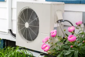Polar—A heat pump outside of a home in O’Fallon, IL, surrounded by pink flowers.