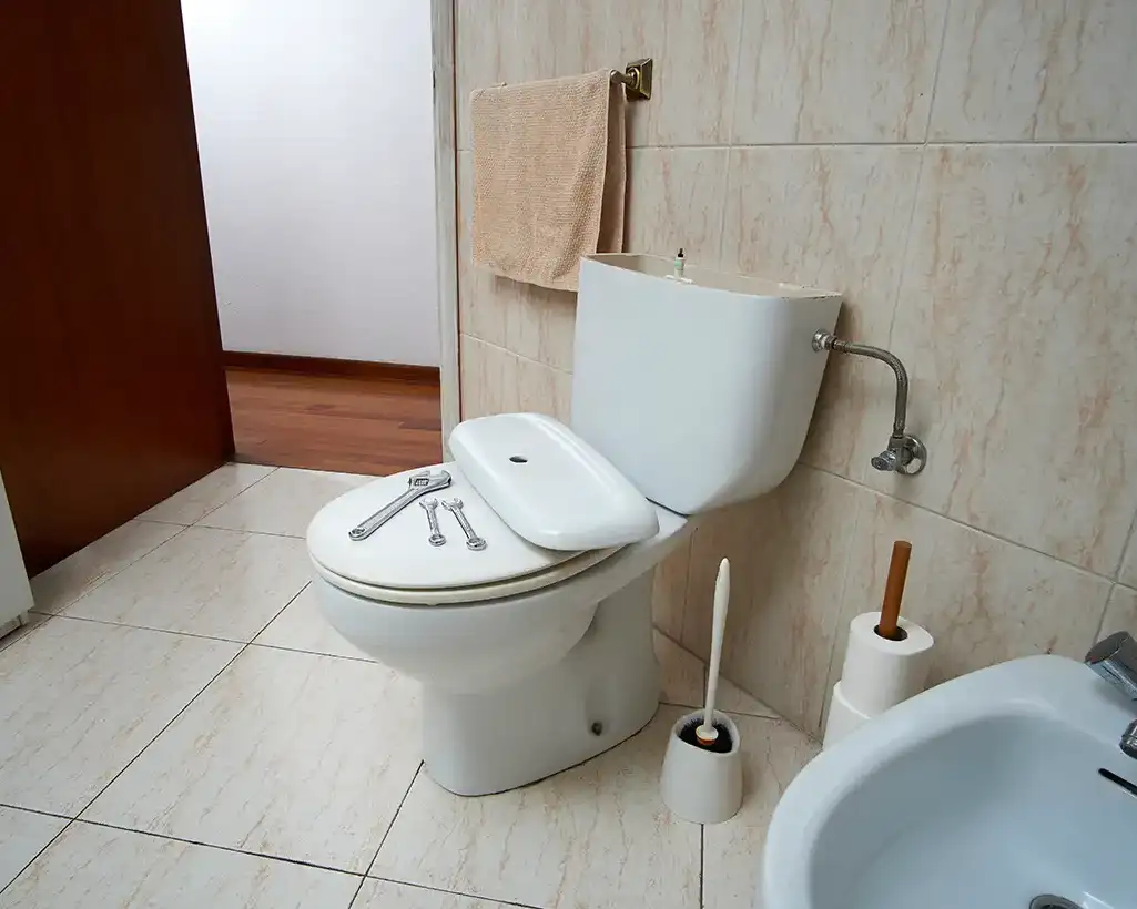 Polar - Reliable Toilet Repair & Bathroom Plumbing Solutions in Columbia, IL
