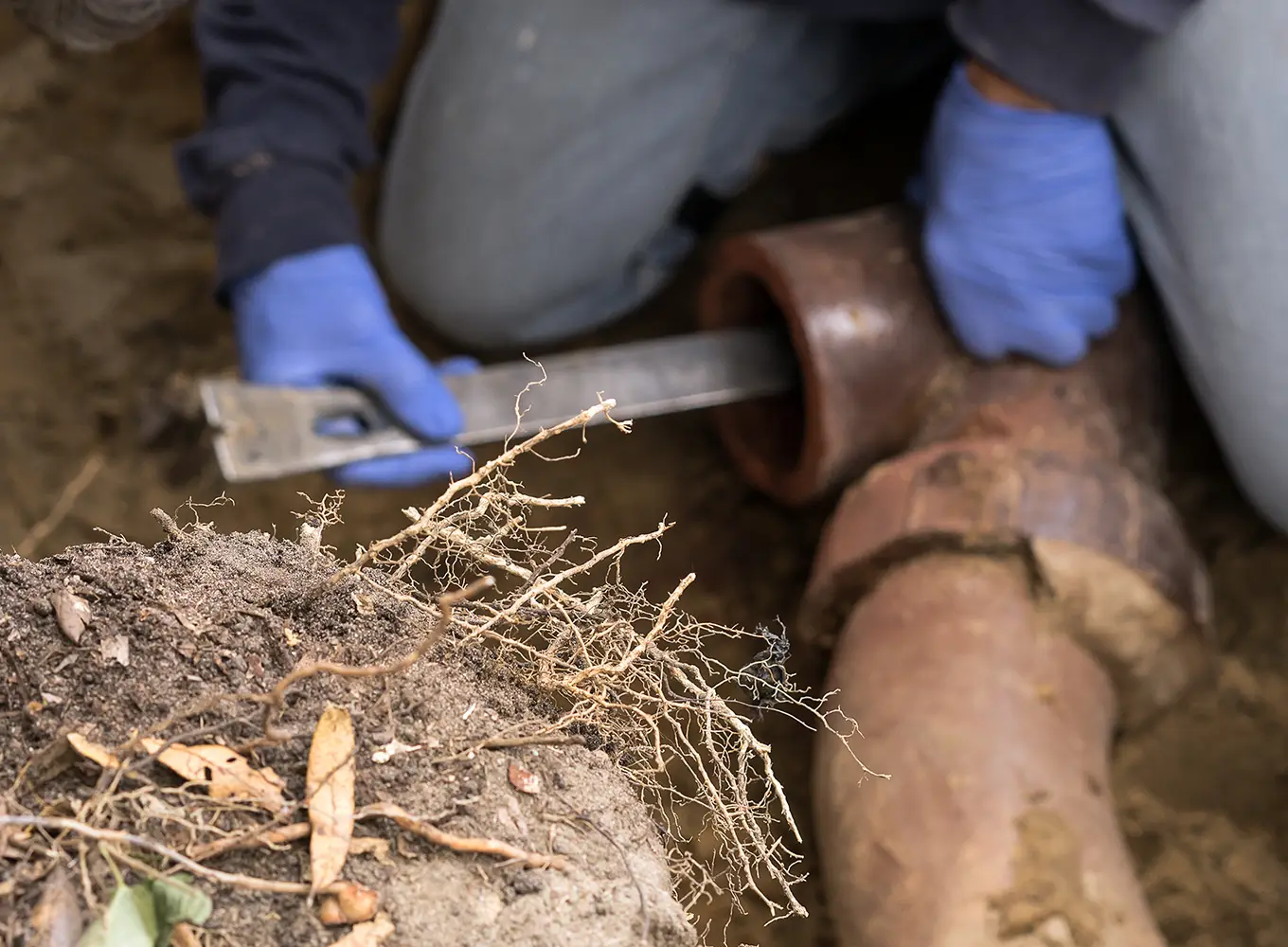 Sewer Line Repair & Replacement in Collinsville IL